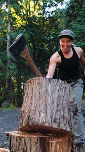 Attēlu rezultāti vaicājumam “Postia sericeomollis”