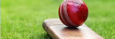 Image result for Elham Valley Cricket Club