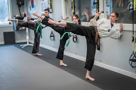 Image result for Trusted Guard Martial Arts Dojo