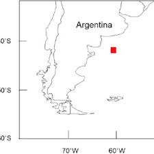 Image result for Bathyraja brachyurops