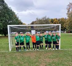 Image result for Welwyn Garden City Panshanger Football Club