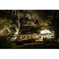 Image result for Enzian