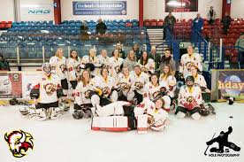 Image result for Basingstoke Bison Ice Hockey Club