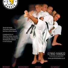 Image result for Zen Shin Seicho Do Adult Karate