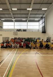 Image result for Tiffin Netball Club