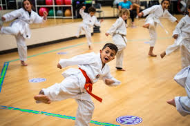 Image result for Parkgate Taekwondo Club
