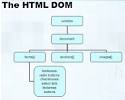 JavaScript Tutorial: JavaScript Basics