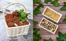 Attēlu rezultāti vaicājumam “Fuligo gyrosa macro”