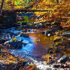 Image result for Old Elthamians Granby Cc