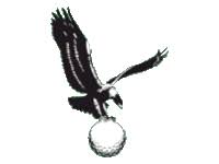 Image result for Tamworth Gc