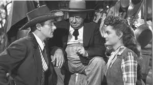 Attēlu rezultāti vaicājumam “Tubifera montana young”