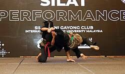Image result for Silat Perisai Diri Classes Club