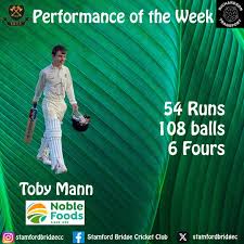 Image result for Stamford Bridge Cricket Club