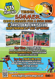 Image result for Ivybridge Tennis Club