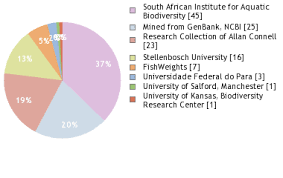 Image result for Chrysoblephus cristiceps