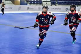 Image result for Ealing Eagles Ball Hockey Club