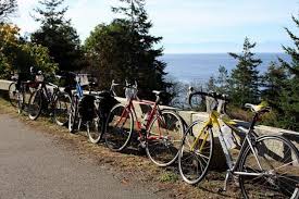 Image result for Tri-Cycle North West