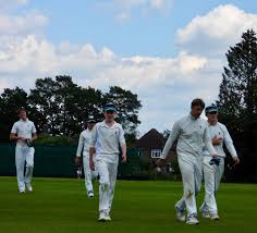 Image result for Cranleigh St Andrews Cricket Club