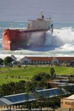 Image result for Pasha bulker