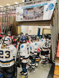 Image result for Ash Avalanche Skater Hockey Club