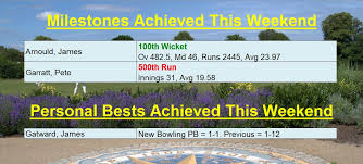 Image result for Horsham Trinity Cricket Club