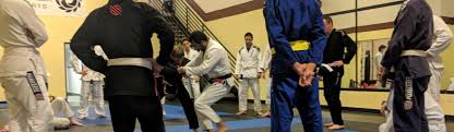 Image result for Precision Martial Arts