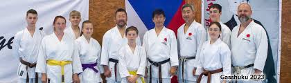 Image result for Tsunami Karate Club