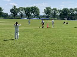 Image result for Challow and Childrey Cricket Club