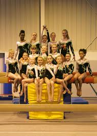 Image result for Ruxley Gymnastics Club