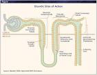 histo2 - Part A