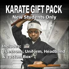 Image result for Action Karate