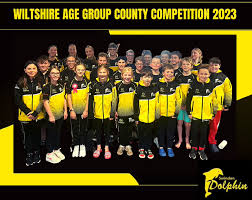 Image result for Swindon Dolphins