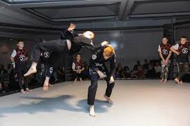Image result for Marsden martial arts
