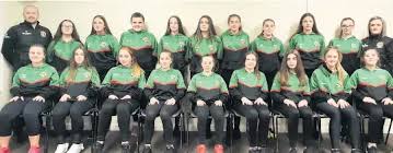Image result for Halton Farnworth Hornets A R L F C