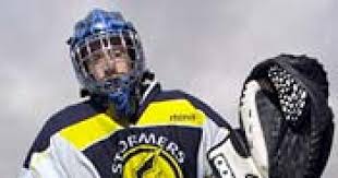 Image result for Snaith Stormers