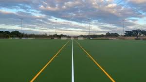 Image result for Norwich Dragons Hockey Club