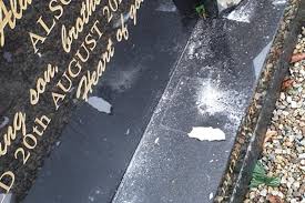 Image result for Ballymena Vandals