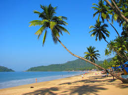 Image result for goa beaches