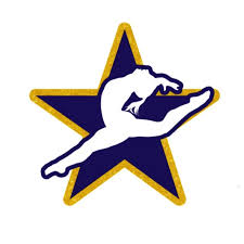 Image result for N C A A C