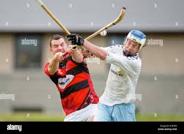 Image result for Skye Camanachd
