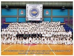 Image result for I T F Taekwondo (Andover)