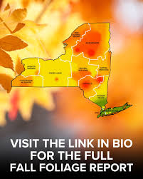 Image result for $$fall_akte__ort$$