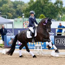 Image result for Interfreestyle Sport Karate