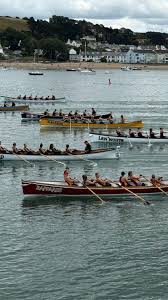 Image result for Torridge Pilot Gig Club