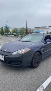 Image result for tuscani tibu...start=0