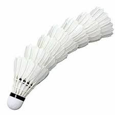 Image result for Feathers Badminton- Leatherhead