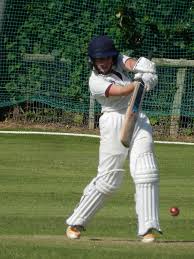 Image result for Luctonians Cricket Club