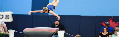 Image result for Avondale Gymnastics Club