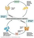paper6: TPH, PCO