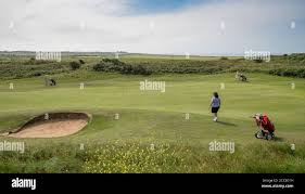 Image result for Pyle & Kenfig Golf Club